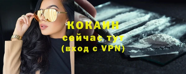 бошки Абаза