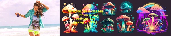 бошки Абаза