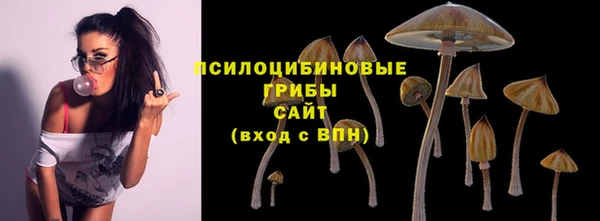 прущая мука Абинск