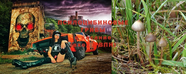 бошки Абаза