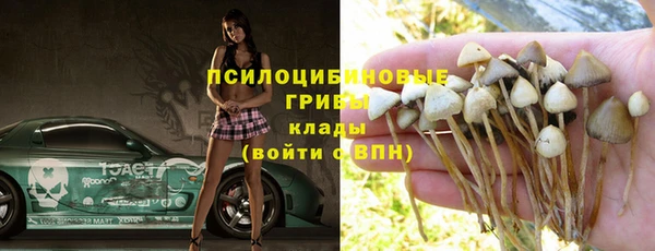 бошки Абаза
