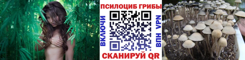 Галлюциногенные грибы мухоморы  Правдинск 